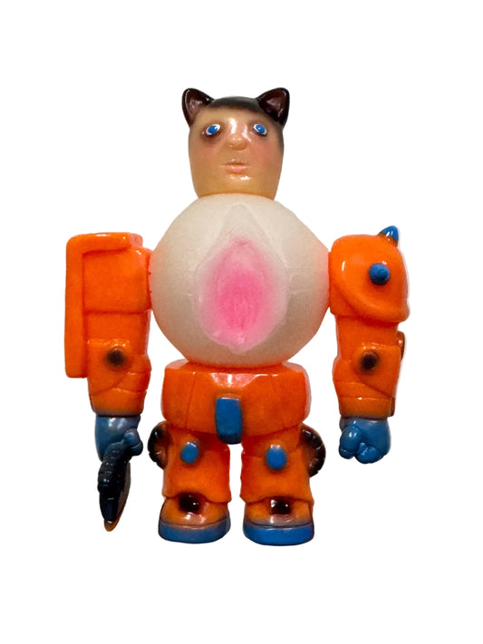 MS-69 one off C